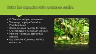 Ecosistemas | PPTX