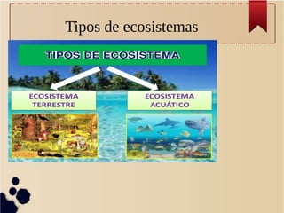 Tipos de ecosistemas