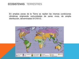 ECOSISTEMAS TERRESTRES
En amplias zonas de la Tierra se repiten las mismas condiciones
climáticas originando comunidades d...