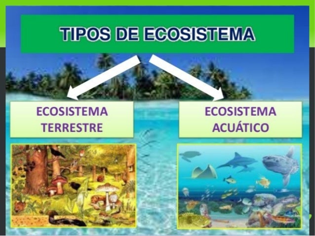 Ecosistemas