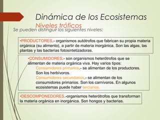 Dinámica de los Ecosistemas
Niveles tróficos
Se pueden distinguir los siguientes niveles:
•PRODUCTORES.- organismos autótrofos que fabrican su propia materia
orgánica (su alimento), a partir de materia inorgánica. Son las algas, las
plantas y las bacterias fotosintetizadoras.
•CONSUMIDORES.- son organismos heterótrofos que se
alimentan de materia orgánica viva. Hay varios tipos:
Consumidores primarios.- se alimentan de los productores.
Son los herbívoros.
Consumidores secundarios.- se alimentan de los
consumidores primarios. Son los carnívoros. En algunos
ecosistemas puede haber terciarios.
•DESCOMPONEDORES.-organismos heterótrofos que transforman
la materia orgánica en inorgánica. Son hongos y bacterias.
 