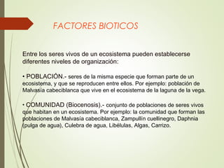 FACTORES BIOTICOS
Entre los seres vivos de un ecosistema pueden establecerse
diferentes niveles de organización:
• POBLACIÓN.- seres de la misma especie que forman parte de un
ecosistema, y que se reproducen entre ellos. Por ejemplo: población de
Malvasía cabeciblanca que vive en el ecosistema de la laguna de la vega.
• COMUNIDAD (Biocenosis).- conjunto de poblaciones de seres vivos
que habitan en un ecosistema. Por ejemplo: la comunidad que forman las
poblaciones de Malvasía cabeciblanca, Zampullín cuellinegro, Daphnia
(pulga de agua), Culebra de agua, Libélulas, Algas, Carrizo.
 
