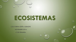 ECOSISTEMAS
C.E.I.P. REINA SOFÍA. ALBACETE
NOVIEMBRE 2016
4º DE PRIMARIA.
 