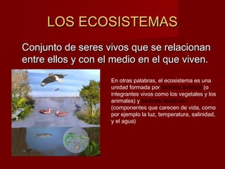 LOS ECOSISTEMASLOS ECOSISTEMAS
Conjunto de seres vivos que se relacionanConjunto de seres vivos que se relacionan
entre ellos y con el medio en el que viven.entre ellos y con el medio en el que viven.
En otras palabras, el ecosistema es una
unidad formada por factores bióticos (o
integrantes vivos como los vegetales y los
animales) y factores abióticos
(componentes que carecen de vida, como
por ejemplo la luz, temperatura, salinidad,
y el agua)
 