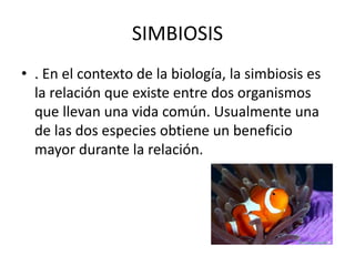 SIMBIOSIS
• . En el contexto de la biología, la simbiosis es
la relación que existe entre dos organismos
que llevan una vida común. Usualmente una
de las dos especies obtiene un beneficio
mayor durante la relación.
 