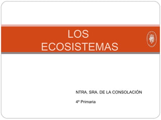LOS
ECOSISTEMAS
NTRA. SRA. DE LA CONSOLACIÓN
4º Primaria
 