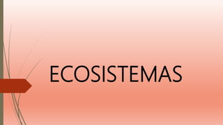ECOSISTEMAS
 