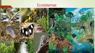 Ecosistemas | PPTX