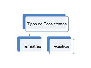 Tipos de Ecosistemas
Terrestres Acuáticos
 