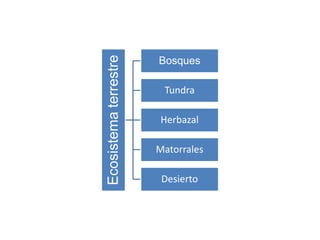 Ecosistematerrestre
Bosques
Tundra
Herbazal
Matorrales
Desierto
 