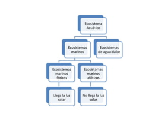 Ecosistema
Acuático
Ecosistemas
marinos
Ecosistemas
marinos
fóticos
Llega la luz
solar
Ecosistemas
marinos
afóticos
No llega la luz
solar
Ecosistemas
de agua dulce