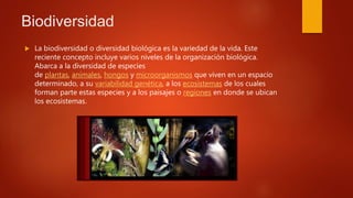 Biodiversidad
 La biodiversidad o diversidad biológica es la variedad de la vida. Este
reciente concepto incluye varios niveles de la organización biológica.
Abarca a la diversidad de especies
de plantas, animales, hongos y microorganismos que viven en un espacio
determinado, a su variabilidad genética, a los ecosistemas de los cuales
forman parte estas especies y a los paisajes o regiones en donde se ubican
los ecosistemas.
 