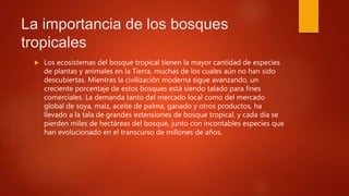 La importancia de los bosques
tropicales
 Los ecosistemas del bosque tropical tienen la mayor cantidad de especies
de plantas y animales en la Tierra, muchas de los cuales aún no han sido
descubiertas. Mientras la civilización moderna sigue avanzando, un
creciente porcentaje de estos bosques está siendo talado para fines
comerciales. La demanda tanto del mercado local como del mercado
global de soya, maíz, aceite de palma, ganado y otros productos, ha
llevado a la tala de grandes extensiones de bosque tropical, y cada día se
pierden miles de hectáreas del bosque, junto con incontables especies que
han evolucionado en el transcurso de millones de años.
 