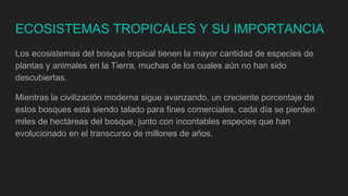 ECOSISTEMAS TROPICALES Y SU IMPORTANCIA
Los ecosistemas del bosque tropical tienen la mayor cantidad de especies de
plantas y animales en la Tierra, muchas de los cuales aún no han sido
descubiertas.
Mientras la civilización moderna sigue avanzando, un creciente porcentaje de
estos bosques está siendo talado para fines comerciales, cada día se pierden
miles de hectáreas del bosque, junto con incontables especies que han
evolucionado en el transcurso de millones de años.
 