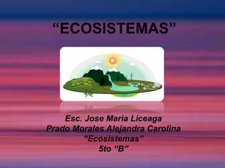 “ECOSISTEMAS”
Esc. Jose Maria Liceaga
Prado Morales Alejandra Carolina
“Ecosistemas”
5to “B”
 