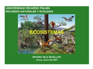 UNIVERSIDAD RICARDO PALMA
RECURSOS NATURALES Y ECOLOGIA
ARTURO ISLA ZEVALLOS.
Surco, enero del 2021
ECOSISTEMAS
 