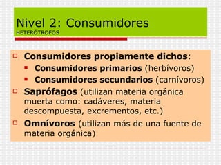 Nivel 2: Consumidores
HETERÓTROFOS
 Consumidores propiamente dichos:
 Consumidores primarios (herbívoros)
 Consumidores secundarios (carnívoros)
 Saprófagos (utilizan materia orgánica
muerta como: cadáveres, materia
descompuesta, excrementos, etc.)
 Omnívoros (utilizan más de una fuente de
materia orgánica)
 