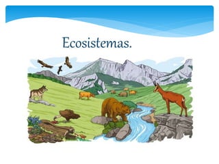 Ecosistemas.
 