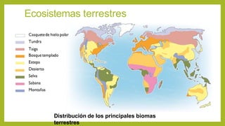 Ecosistemas terrestres
Distribución de los principales biomas
terrestres
 