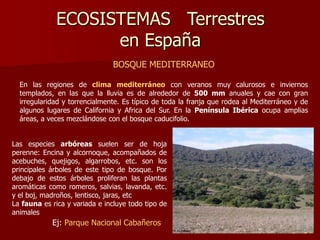 ECOSISTEMAS Terrestres
en España
BOSQUE MEDITERRANEO
En las regiones de clima mediterráneo con veranos muy calurosos e inviernos
templados, en las que la lluvia es de alrededor de 500 mm anuales y cae con gran
irregularidad y torrencialmente. Es típico de toda la franja que rodea al Mediterráneo y de
algunos lugares de California y Africa del Sur. En la Península Ibérica ocupa amplias
áreas, a veces mezclándose con el bosque caducifolio.
Las especies arbóreas suelen ser de hoja
perenne: Encina y alcornoque, acompañados de
acebuches, quejigos, algarrobos, etc. son los
principales árboles de este tipo de bosque. Por
debajo de estos árboles proliferan las plantas
aromáticas como romeros, salvias, lavanda, etc.
y el boj, madroños, lentisco, jaras, etc
La fauna es rica y variada e incluye todo tipo de
animales
Ej: Parque Nacional Cabañeros
 