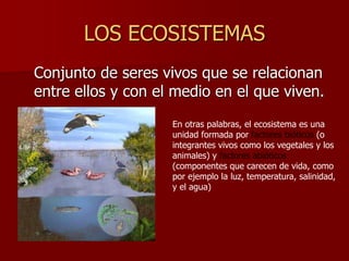 LOS ECOSISTEMAS
Conjunto de seres vivos que se relacionan
entre ellos y con el medio en el que viven.
En otras palabras, el ecosistema es una
unidad formada por factores bióticos (o
integrantes vivos como los vegetales y los
animales) y factores abióticos
(componentes que carecen de vida, como
por ejemplo la luz, temperatura, salinidad,
y el agua)
 