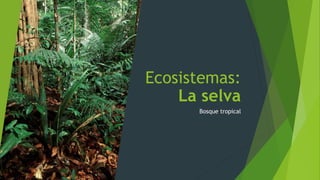 Ecosistemas:
La selva
Bosque tropical
 