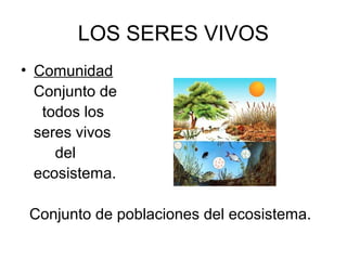 LOS SERES VIVOS
• Comunidad
Conjunto de
todos los
seres vivos
del
ecosistema.
Conjunto de poblaciones del ecosistema.
 