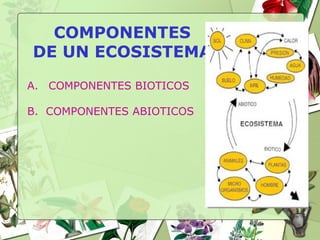 COMPONENTES
DE UN ECOSISTEMA
A. COMPONENTES BIOTICOS
B. COMPONENTES ABIOTICOS
 