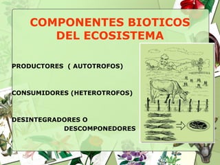 COMPONENTES BIOTICOS
DEL ECOSISTEMA
PRODUCTORES ( AUTOTROFOS)
CONSUMIDORES (HETEROTROFOS)
DESINTEGRADORES O
DESCOMPONEDORES
 
