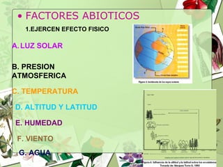 • FACTORES ABIOTICOS
A.LUZ SOLAR
B. PRESION
ATMOSFERICA
C. TEMPERATURA
D. ALTITUD Y LATITUD
E. HUMEDAD
F. VIENTO
G. AGUA
1.EJERCEN EFECTO FISICO
 