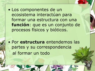 • Los componentes de un
ecosistema interactúan para
formar una estructura con una
función: que es un conjunto de
procesos físicos y bióticos.
• Por estructura entendemos las
partes y su correspondencia
al formar un todo
 
