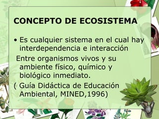 • Es cualquier sistema en el cual hay
interdependencia e interacción
Entre organismos vivos y su
ambiente físico, químico y
biológico inmediato.
( Guía Didáctica de Educación
Ambiental, MINED,1996)
CONCEPTO DE ECOSISTEMA
 