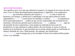 DESCOMPONEDORES Son aquellos seres vivos que que obtienen la materia y la energía de los restos de otros seres vivos. Se llama descomponedores propiamente, o saprófitos, a los organismos  heterótrofos  que absorben nutrientes por ósmosis ( osmotrofia ), como lo hacen las bacterias y los hongos, y detritívoros o saprófagos a los que aprovechan los restos ingiriéndolos ( fagotrofia ) como hacen los animales y muchos  protistas . La importancia de los descomponedores ( s.l. ) radica en que son los responsables del reciclado de los nutrientes. Este proceso permite que la materia (los  átomos  y algunas  moléculas )que ha ido pasando de unos organismos a otros pueda sea utilizada de nuevo por los productores, los que arrancan la cadena trófica. De esta forman se cierra el ciclo de materia en el ecosistema, lo que pwermite que el mismo átomo pueda ser reutilizado un número ilimitado de veces. Nada permite, sin embargo, por limitaciones  termodinámicas , que la energía que ya ha circulado a través de la cadena trófica puede volver a ser utilizada.  