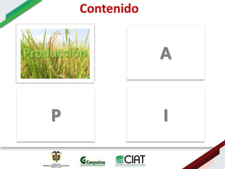 Ecosistemas estrategicos altillanura-colombia