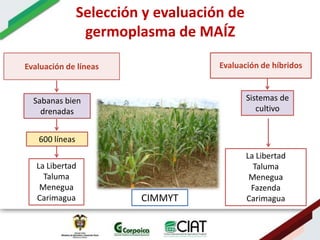 Ecosistemas estrategicos altillanura-colombia