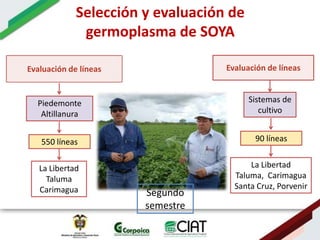 Ecosistemas estrategicos altillanura-colombia