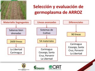 Ecosistemas estrategicos altillanura-colombia