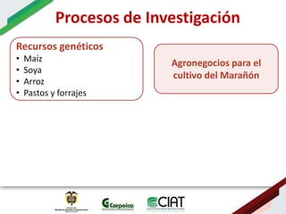 Ecosistemas estrategicos altillanura-colombia