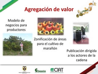 Ecosistemas estrategicos altillanura-colombia