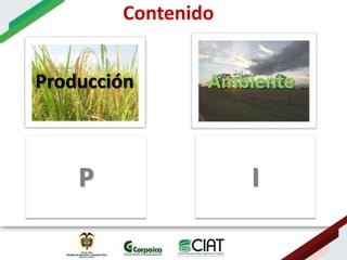 Ecosistemas estrategicos altillanura-colombia