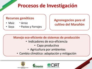 Ecosistemas estrategicos altillanura-colombia