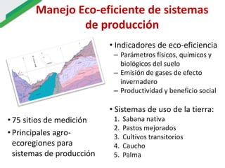 Ecosistemas estrategicos altillanura-colombia