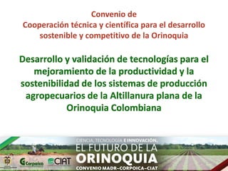 Ecosistemas estrategicos altillanura-colombia
