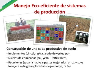 Ecosistemas estrategicos altillanura-colombia
