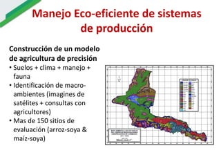 Ecosistemas estrategicos altillanura-colombia