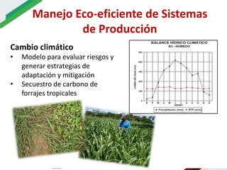 Ecosistemas estrategicos altillanura-colombia
