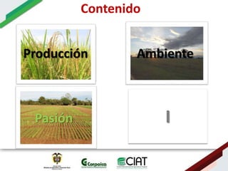 Ecosistemas estrategicos altillanura-colombia