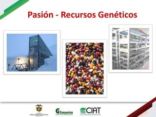 Ecosistemas estrategicos altillanura-colombia