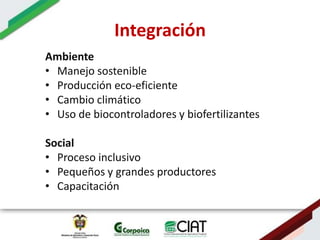 Ecosistemas estrategicos altillanura-colombia