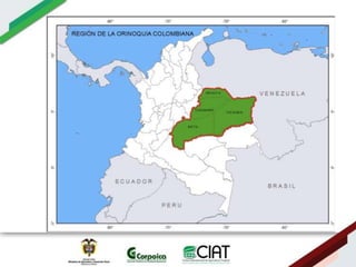 Ecosistemas estrategicos altillanura-colombia